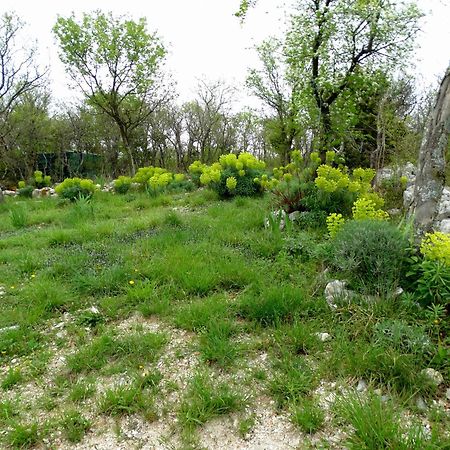 Apartments Dumic Crikvenica Εξωτερικό φωτογραφία