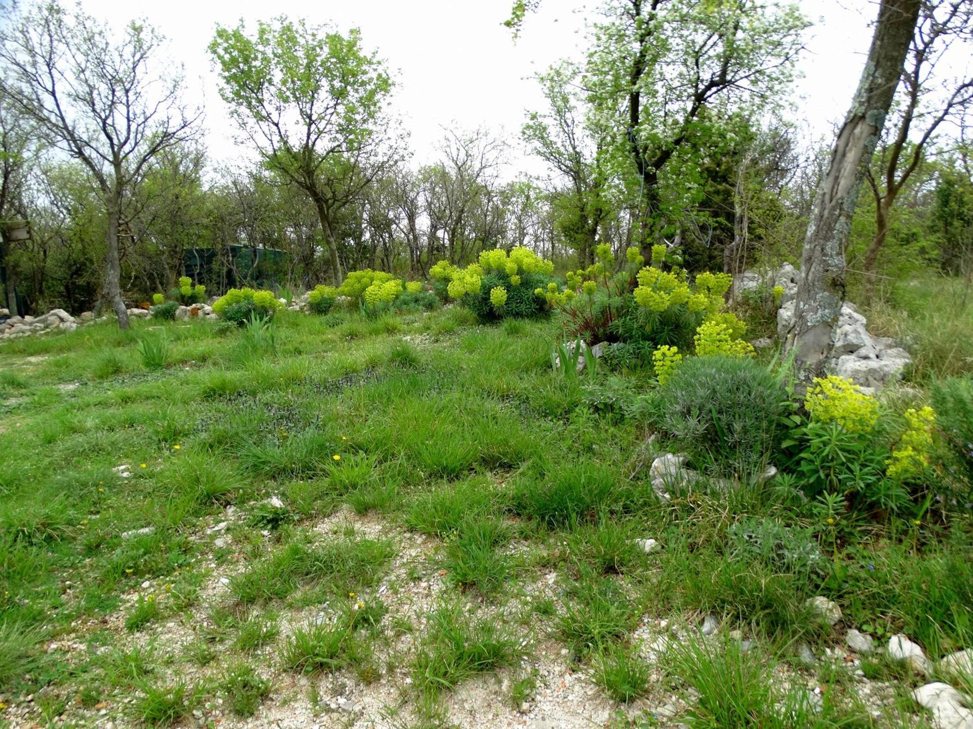 Apartments Dumic Crikvenica Εξωτερικό φωτογραφία