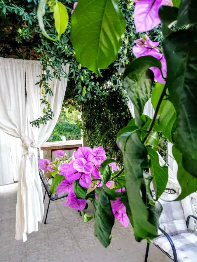Apartments Dumic Crikvenica Εξωτερικό φωτογραφία